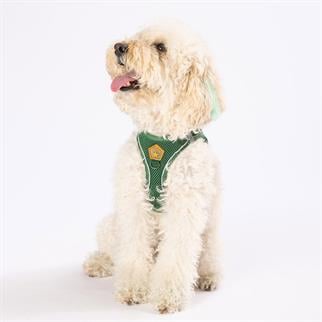 PawStar  Pine Green - Çam Yeşili Airmesh Köpek Göğüs Tasması