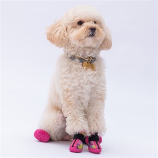PawStar  Rosea Camouflage Köpek Ayakkabısı