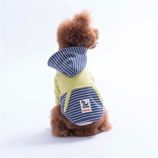 PawStar 226722 Yeşil Sera Stripe Hoodie