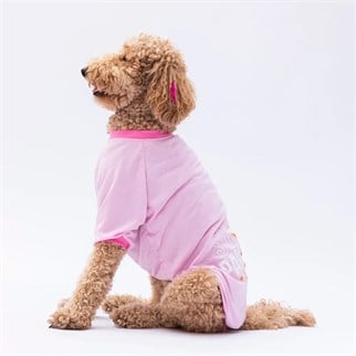 PawStar 24754 Pembe Super Paws Büyük Irk Sweat