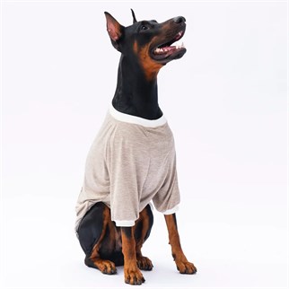 PawStar 24755 Bej Super Paws Büyük Irk Sweat