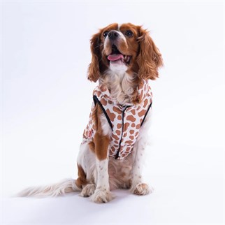 PawStar 25108 Moshi Mood Yelek Küçük ve Orta Irk