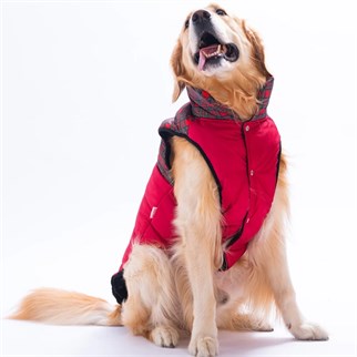PawStar 25150 Kırmızı Elgin Paws Büyük Irk Yelek