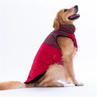 PawStar 25150 Kırmızı Elgin Paws Büyük Irk Yelek