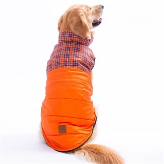 PawStar 25151 Turuncu Elgin Paws Büyük Irk Yelek