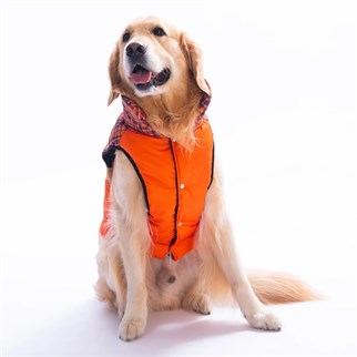 PawStar 25151 Turuncu Elgin Paws Büyük Irk Yelek