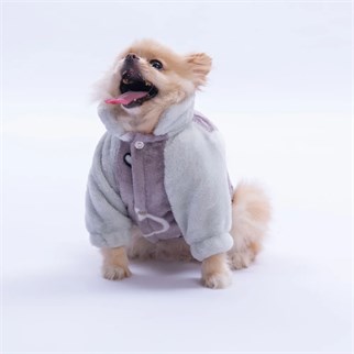 PawStar 25204-Gri Verona Kiss Ceket