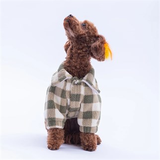 PawStar 25206-Yeşil Chicago Ceket