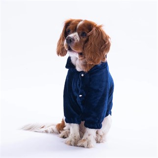 PawStar 25209 - Lacivert Jaipur Magic Ceket