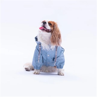 PawStar 25501 Gri Pluvia Yağmurluk Küçük ve Orta Irk