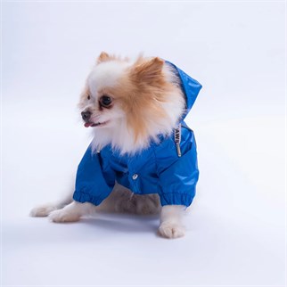 PawStar 25506 Mavi Pluvia Yağmurluk Küçük ve Orta Irk