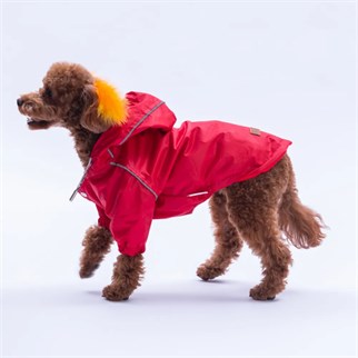 PawStar 25508 Kırmızı Pluvia Yağmurluk Küçük ve Orta Irk