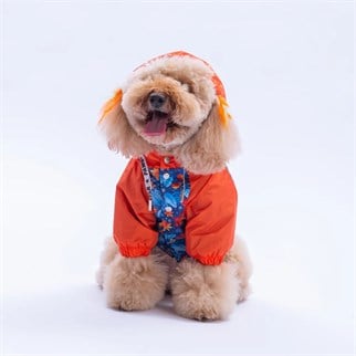 PawStar 25515 Amsterdam Fall Yağmurluk