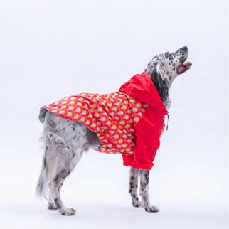 PawStar 25555 Lisbon Sunset Büyük Irk Yağmurluk