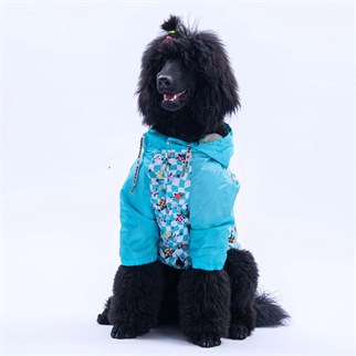PawStar 25558 Barcelona Nights Büyük Irk Yağmurluk