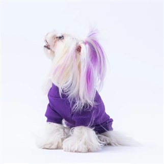 PawStar 25711 Mor Ice Cream Kaşkorse Sweat