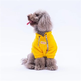 PawStar 25719 Sarı Porto Cozy Sweat
