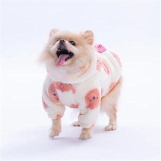 PawStar 25727 Somon Sapporo Bear Hoodie