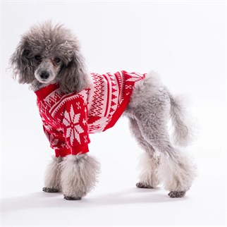 PawStar 25729- Kırmızı Nordic Winter-Snowflake Sweat