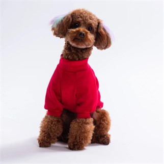 PawStar 25730-Festive Antlers Sweat