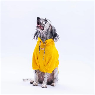 PawStar 25753 Sarı Porto Cozy Büyük Irk Sweat