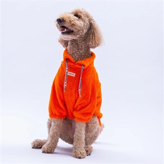 PawStar 25754 Turuncu Doha Go! Büyük Irk Sweat
