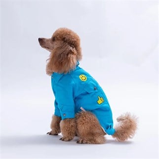 PawStar 26202- Turkuaz Cancun Pop Ceket