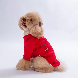 PawStar 26203-Kırmızı Cancun Pop Ceket