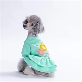 PawStar 26301-Mint Arosa Nivalis Elbise