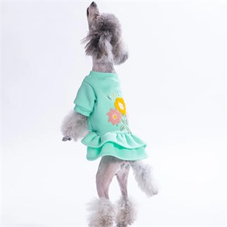 PawStar 26301-Mint Arosa Nivalis Elbise