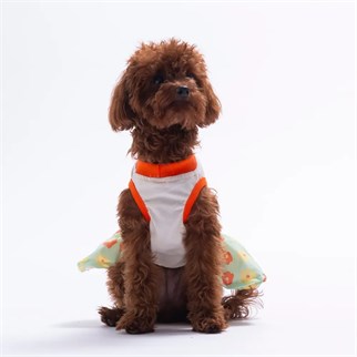 PawStar 26308 Florelle Elbise