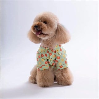 PawStar 26405 Florelle Desenli Gömlek