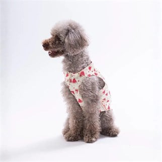 PawStar 26407 Berry Crush Desenli Gömlek