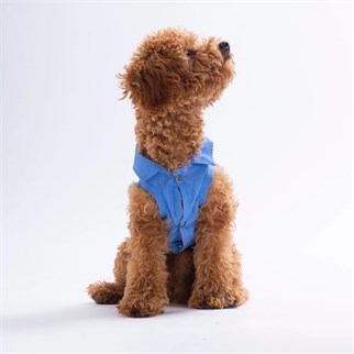 PawStar 26408 Avo Bliss Desenli Denim Gömlek