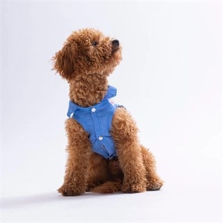 PawStar 26410 Ruby Slice Desenli Denim Gömlek