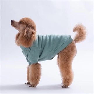 PawStar 26701-Yeşil Teddy Wood Sweat