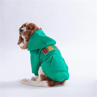 PawStar 26708-Yeşil Bronx Brave Hoodie