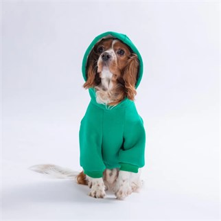 PawStar 26708-Yeşil Bronx Brave Hoodie