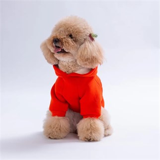 PawStar 26709-Turuncu Bronx Brave Hoodie