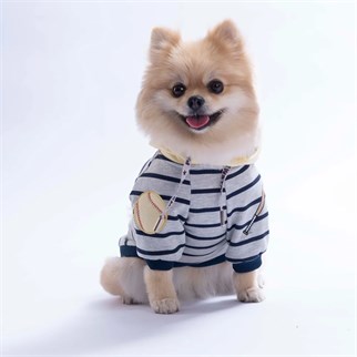 PawStar 26733 Sarı Seattle Pitch Hoodie
