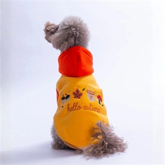 PawStar 26741 Turuncu Vermont Autumn Hoodie
