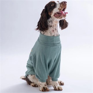PawStar 26751 -Yeşil Teddy Wood Büyük Sweat