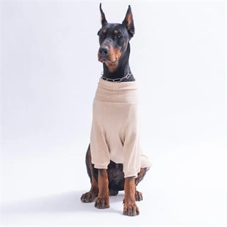 PawStar 26753- Bej Teddy Wood Big Sweat