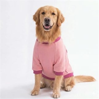 PawStar 26758-Piglet Lane Büyük Irk Sweat