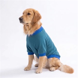 PawStar 26760- Eeyore Creek Büyük Irk Sweat