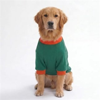 PawStar 26761- Tigger Grove Büyük Irk Sweat