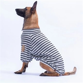 PawStar 26764 Siyah Marseille Softline Büyük Irk Sweat