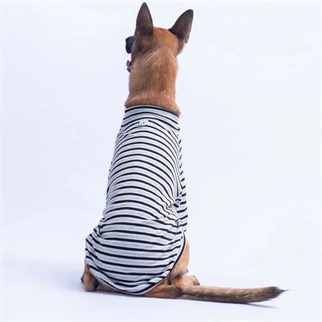 PawStar 26764 Siyah Marseille Softline Büyük Irk Sweat