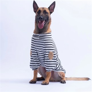 PawStar 26764 Siyah Marseille Softline Büyük Irk Sweat