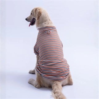 PawStar 26766 Kiremit Marseille Softline Büyük Irk Sweat